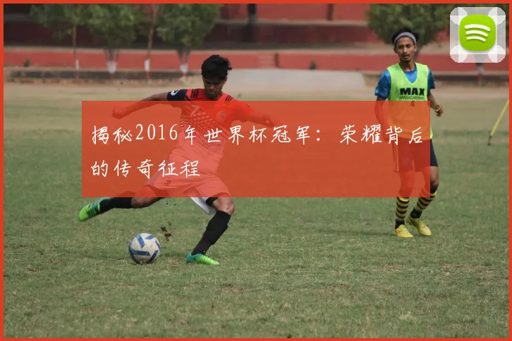 揭秘2016年世界杯冠军：荣耀背后的传奇征程