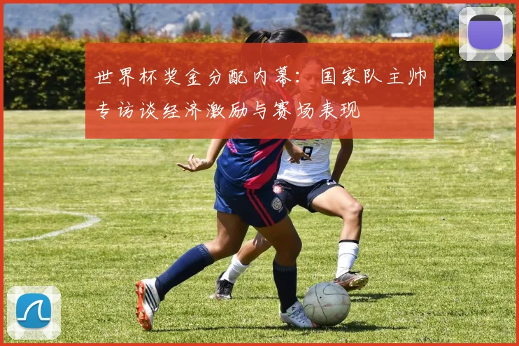 世界杯奖金分配内幕：国家队主帅专访谈经济激励与赛场表现