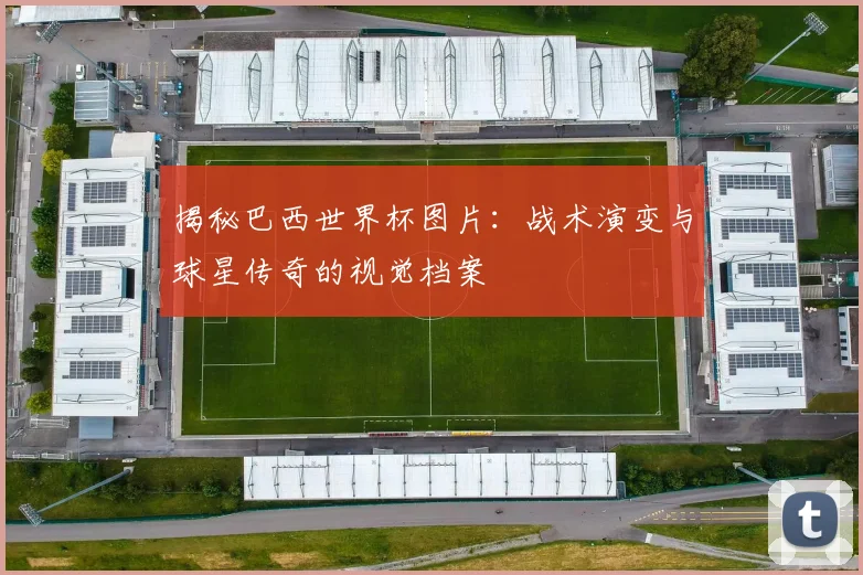 揭秘巴西世界杯图片：战术演变与球星传奇的视觉档案