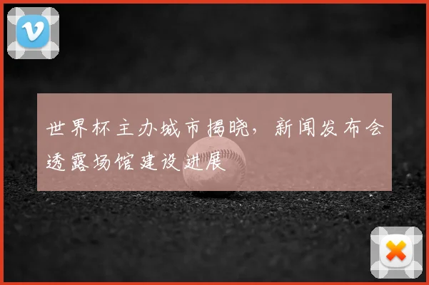 世界杯主办城市揭晓,新闻发布会透露场馆建设进展