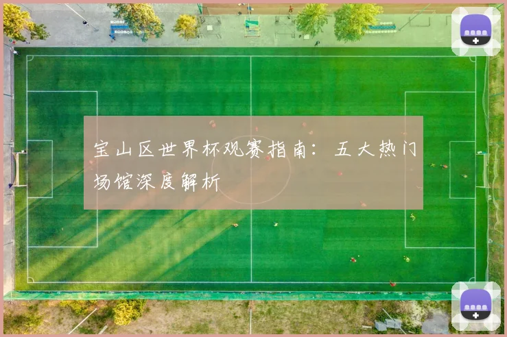 宝山区世界杯观赛指南:五大热门场馆深度解析