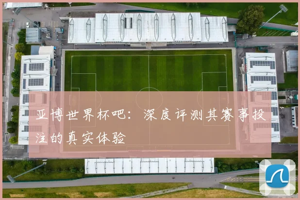 亚博世界杯吧：深度评测其赛事投注的真实体验