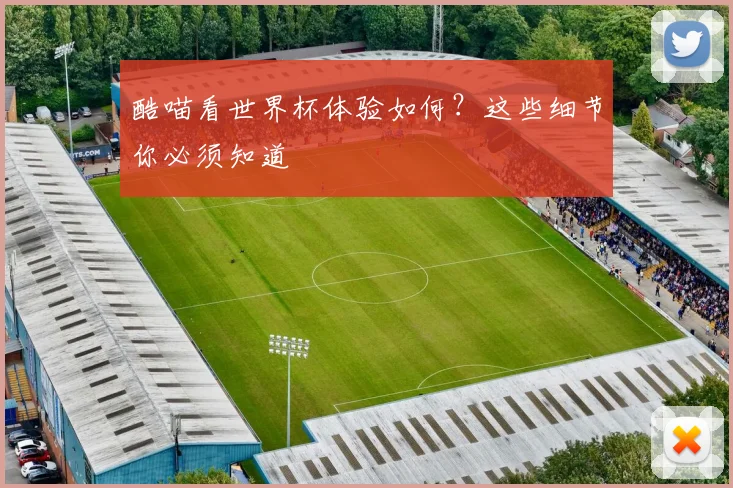 酷喵看世界杯体验如何？这些细节你必须知道