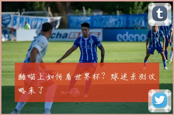 酷喵上如何看世界杯？球迷亲测攻略来了
