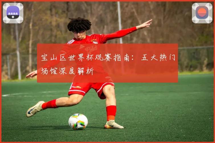 宝山区世界杯观赛指南:五大热门场馆深度解析