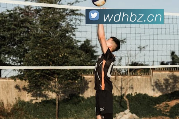 kaiyun官方登录网站平台生态图