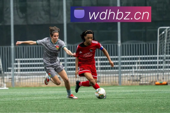 kaiyun官方登录网站APP 封面图